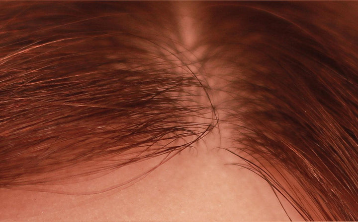 WM | 5ft 6/168cm E-Cup Hybrid - Kirsche